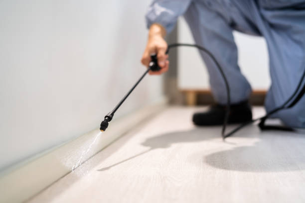 Licensed Rodent Control service in Biloxi, MS - Nex Pest Control