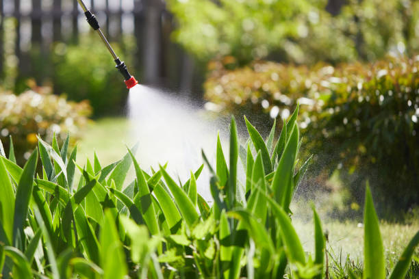 24/7 Emergency Rodent Control experts in Biloxi, MS