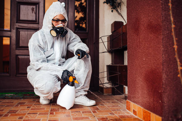 Reliable Rodent Control contractor in Biloxi, MS by Nex Pest Control