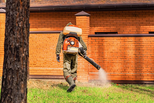 Top rated local Rodent Control specialists in Biloxi, MS
